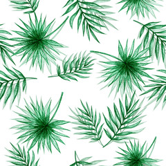 Palm leaves on a white background. Seamless pattern of leaves.