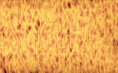 Abstract Fire Background with Flames. Wall of Fire. 3D illustration
