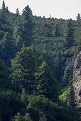 Summer Landscape from trail for Malyovitsa peak, Rila Mountain, Bulgaria