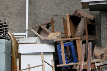 Fototapety na wymiar - Fototapeta24.pl