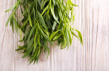 Tarragon herbs bunch