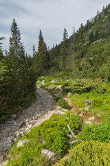 Obraz premium Summer Landscape from trail for Malyovitsa peak, Rila Mountain, Bulgaria