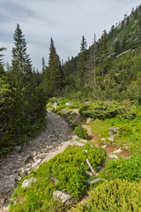 Summer Landscape from trail for Malyovitsa peak, Rila Mountain, Bulgaria