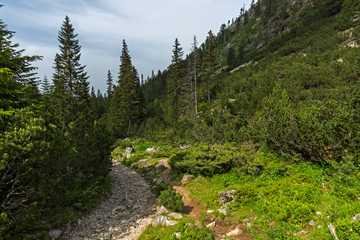 Obraz premium Summer Landscape from trail for Malyovitsa peak, Rila Mountain, Bulgaria
