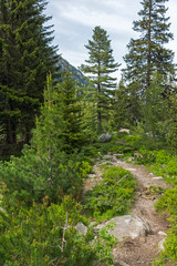 Obraz premium Summer Landscape from trail for Malyovitsa peak, Rila Mountain, Bulgaria