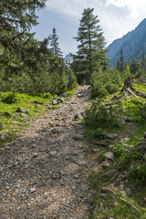 Summer Landscape from trail for Malyovitsa peak, Rila Mountain, Bulgaria