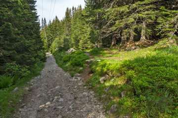 Fototapeta premium Summer Landscape from trail for Malyovitsa peak, Rila Mountain, Bulgaria