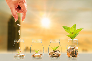 Investor hand hold and drop a gold coin in the bottle and plant growing with savings money on photo...
