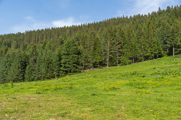 Summer Landscape from trail for Malyovitsa peak, Rila Mountain, Bulgaria