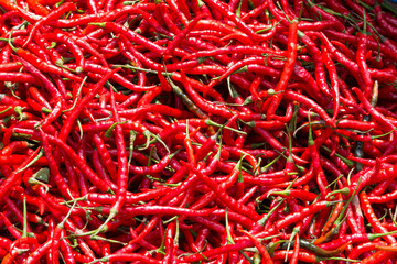 Fototapeta premium red hot chili peppers