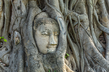 Fototapeta na wymiar Buddha head in tree roots at Wat Mahathat, Phra Nakhon Si Ayutthaya, Thailand