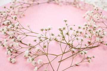 Spring minimalistic background with a wreath of delicate white flowers gypsophila on a pink background.