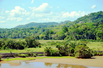 Green landscape of the Panama Canal, view from transiting container ship.