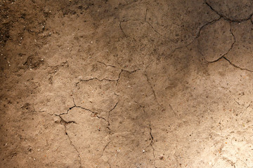 background with cracked earth. broke cracked earth with dust and orange leaves, textured background.