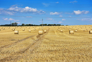 summer time and harvesting of straw in Czech republic