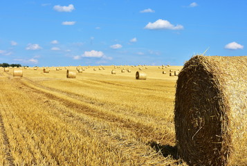 summer time and harvesting of straw in Czech republic