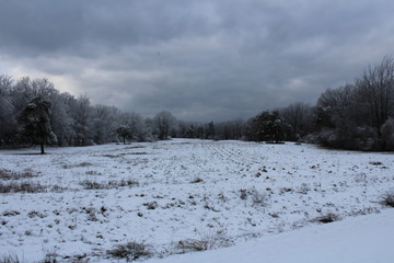 Landscape of a frozen field