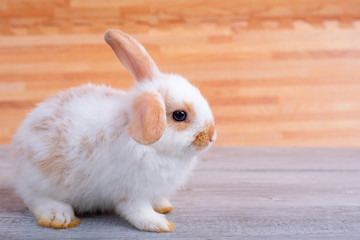 Little adorable bunny rabbit stay on gray table with brown wood pattern as background