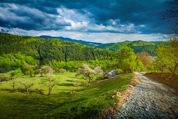 Fototapeta na wymiar Beautiful simple road landscape in rural Romania