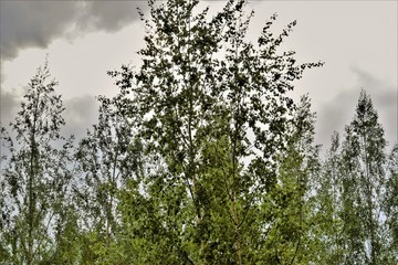 nature has no bad weather