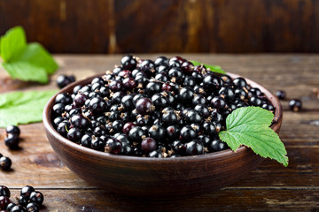 Blackcurrant berries with leaves
