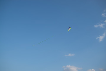 kite in the blue sky
