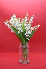 bouquet of lily of the valley on a red background