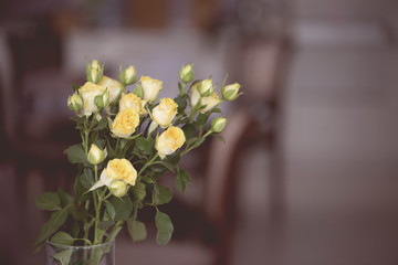 A bouquet of beautiful roses flowers on blurred home background of dining room kitchen