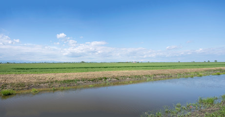canal in green plains near Portogruaro, Italy