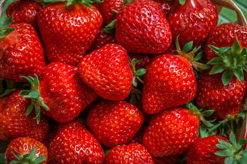 Fresh strawberries