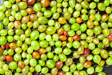 ripe gooseberry as background