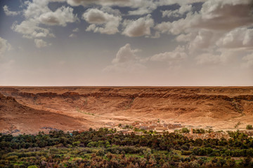 Fototapeta premium Vegetation along a river in southern Morocco