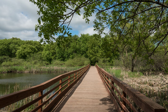 Pedestrian Bridge Across a Pond