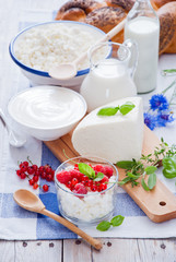 Cottage cheese, sour cream, cheese, cream, yogurt and milk