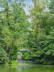 Obraz premium lake in the forest