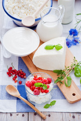 Obraz na płótnie Canvas Cottage cheese, sour cream, cheese, cream, yogurt and milk