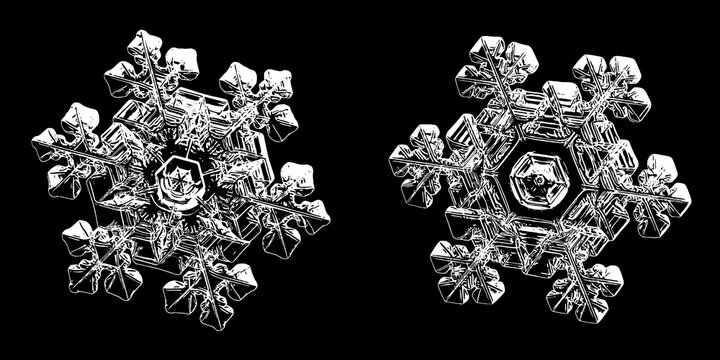 Two snowflakes isolated on black background. Illustration based on macro photos of real snow crystals: elegant star plates with fine hexagonal symmetry, beautiful shapes and glossy relief surface.