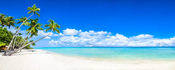 Foto op Plexiglas Prachtig tropisch eiland met palmbomen en strandpanorama als achtergrondafbeelding © eyetronic