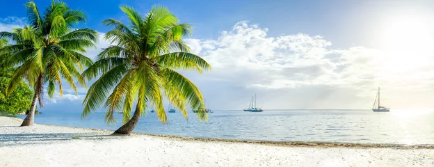 Türaufkleber Summer vacation on a tropical island with beautiful beach © eyetronic