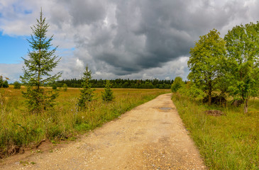 The road through the field in the Leningrad region to the farm.