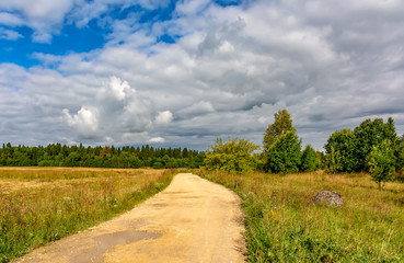 Fototapeta na wymiar The road through the field in the Leningrad region to the farm.