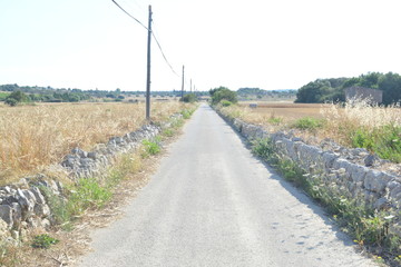 road in the field
