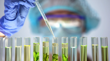 Biochemist pouring oily liquid in tube with plant, preservative agent research