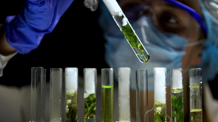 Female researcher analyzing test reaction, organic cosmetics, aromatherapy