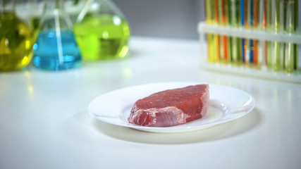 Meat sample on plate laboratory table, quality control and gmo food expertise