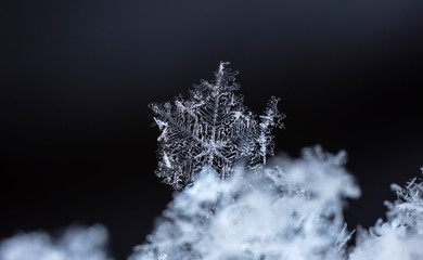 natural snowflakes on snow, winter