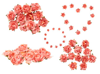 Decorative paper flowers, pink roses, set and collection.