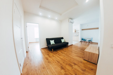 modern light interior. room with white walls and wooden floor.