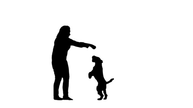 Woman playing with a fox terrier