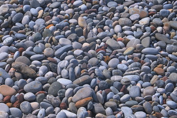 The wet pebbles on the beach.